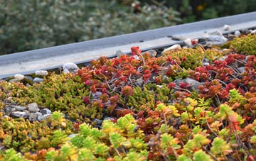 the cost of Berrow Green green roof installation